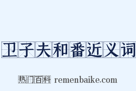 卫子夫和番近义词是什么意思的图片